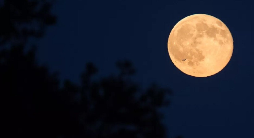 Mengenal Strawberry Moon, Fenomena Bulan Purnama yang Terjadi 3 Juni