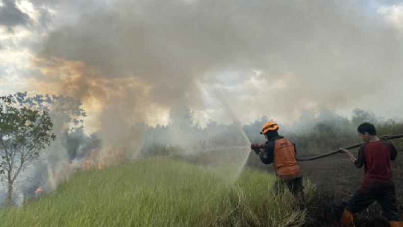 Musim Kemarau, Petani di Kalsel Diimbau Tak Bakar Lahan Sembarangan