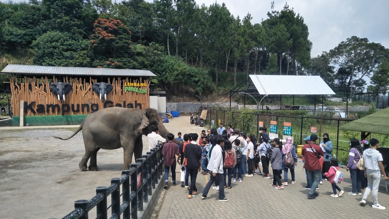  10  Wisata Cikole Bandung: Jelajahi Dunia Satwa Bersama Keluarga di Lembang Park and Zoo