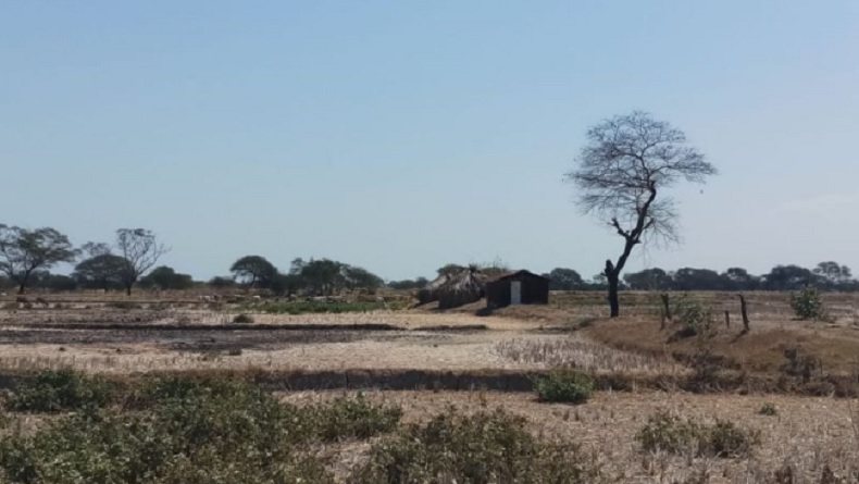 Suhu Panas di Indonesia, BMKG Sebut Musim Kemarau Terjadi hingga Agustus