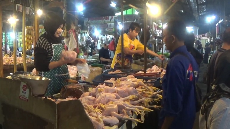 Harga Daging Ayam Tembus Rp50.000 per Kg, Wamendag Pastikan Segera Kembali Normal