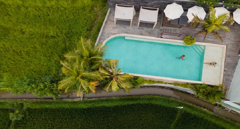 Ide Staycation Romantis di Canggu, Suasana Nyaman di Tengah Sawah