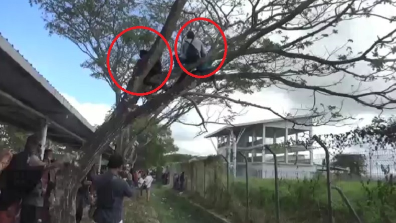 Polah Unik Pengantar Haji di Lombok, Naik Pohon Demi Lihat Saudara Masuk ke Pesawat