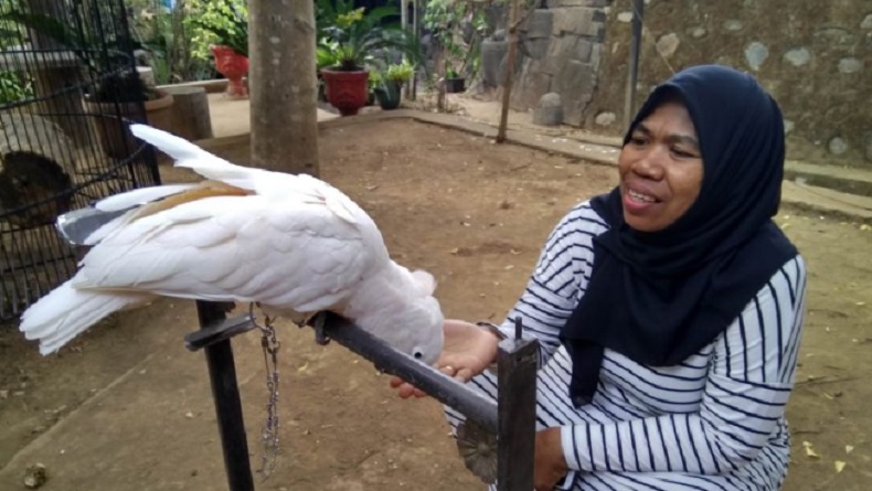 Jumlah Spesies Burung Indonesia Bertambah Jadi 1.826