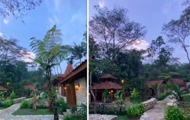 Deretan Artis Punya Rumah di Tengah Hutan, Ada yang Tinggal Sendirian Tak Punya Tetangga