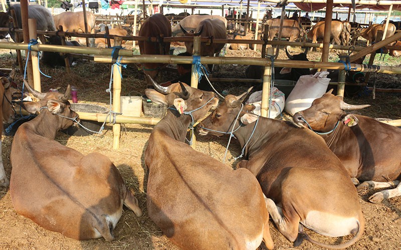 Contoh Khutbah Idul Adha 2023, Belajar Berkurban dari Nabi Ibrahim