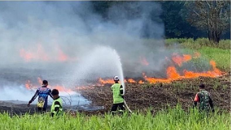 Data BPBD, 34 Karhutla Terjadi di Palangka Raya Hanguskan Lahan Seluas 22,6 Hektare