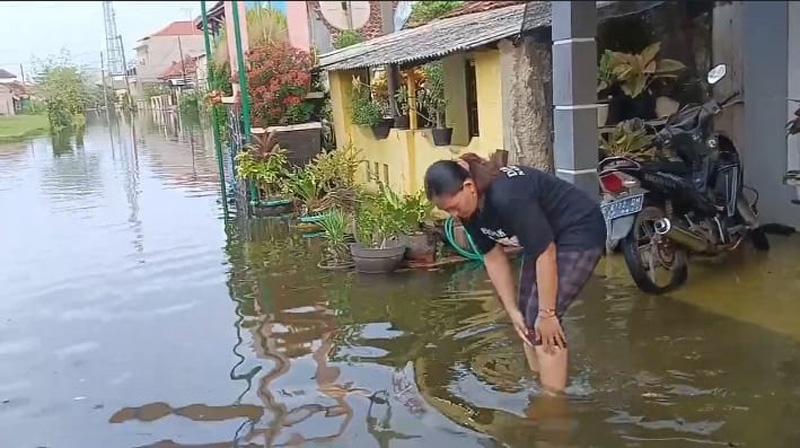 Banjir Rob Masih Rendam Ratusan Rumah di Pekalongan, Kondisi Warga Memprihatinkan