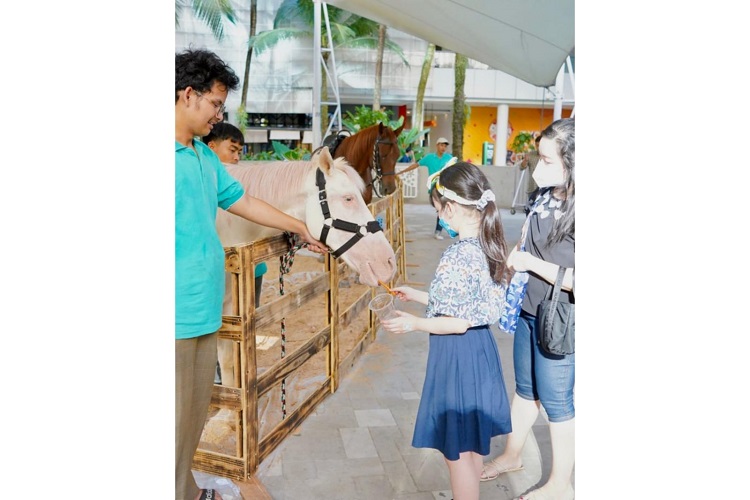 Nikmati Keseruan Musim Panas di Summer Vibes Central Park dan Neo Soho Mall