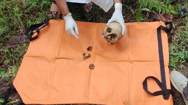Heboh Tengkorak Diduga Kepala Manusia Ditemukan di Kebun Sawit Kotabaru