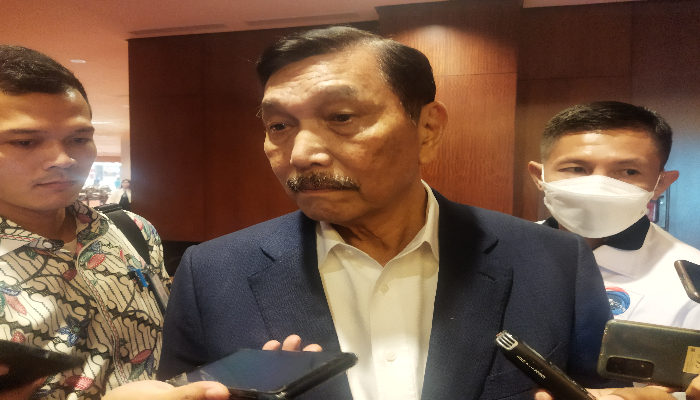 Luhut Ungkap 3 Kereta Baru yang Diimpor Buatan Jepang