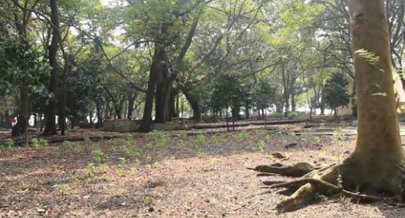 Mengintip Pulau Misterius di Kepulauan Seribu, Dalamnya Ada Terowongan Rahasia Bawah Laut!
