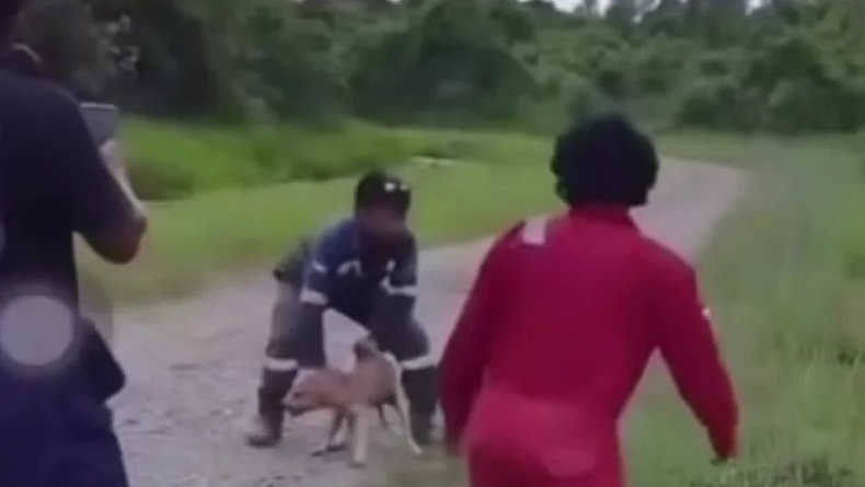 Viral Pekerja Lempar Anjing ke Danau Berbuaya, Lokasi Diduga di Kalimantan