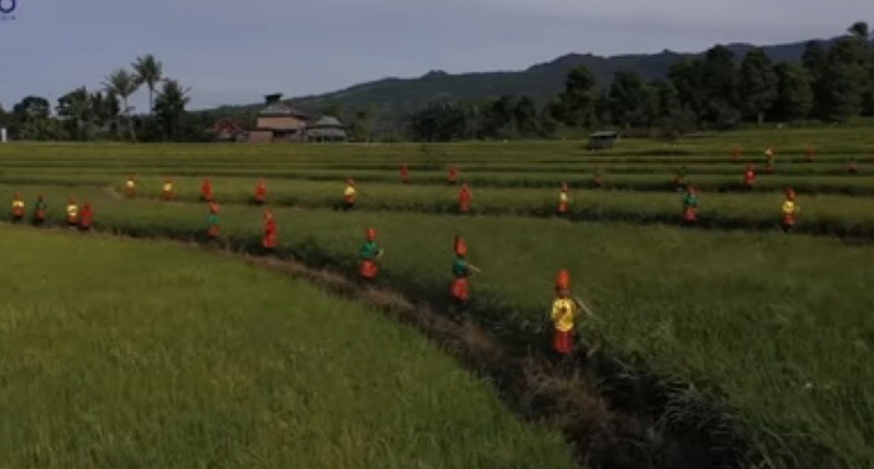 Kampung Unik di Sulawesi Selatan, Singgah ke Desa yang Berlimpah Rempah, Wajib Cicipi Kopi Lokalnya!