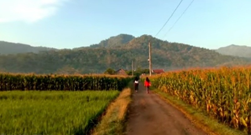 Viral, Kampung Unik di Banjarnegara Punya Pemandangan Desa Mirip di Eropa, seperti Ini Suasananya!