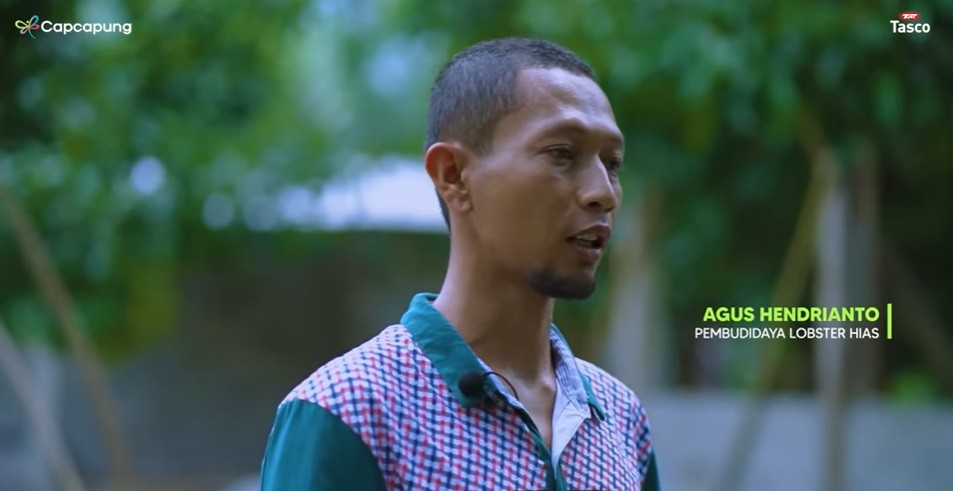 Sempat Diremehkan, Lelaki Asal Magelang Ini Sukses Jadi Pengusaha Lobster Hias Air Tawar 