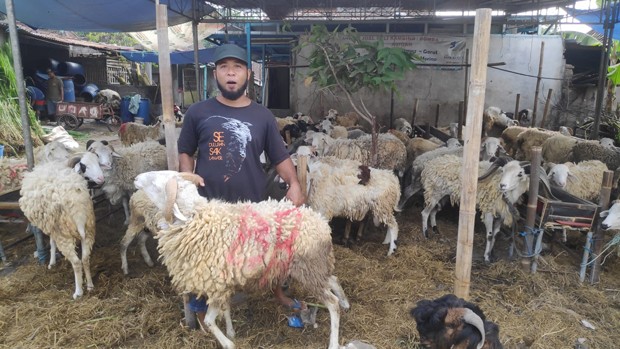 Transaksi Jual Beli Hewan Kurban di Bantul Meningkat Drastis