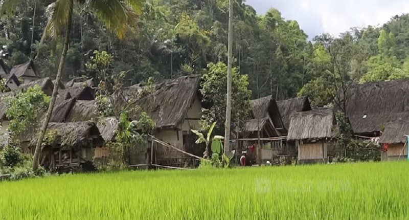 Kampung Unik di Jawa Barat, Hanya di Desa Ini Warganya Tidak Makan Nasi Nyaris 100 Tahun