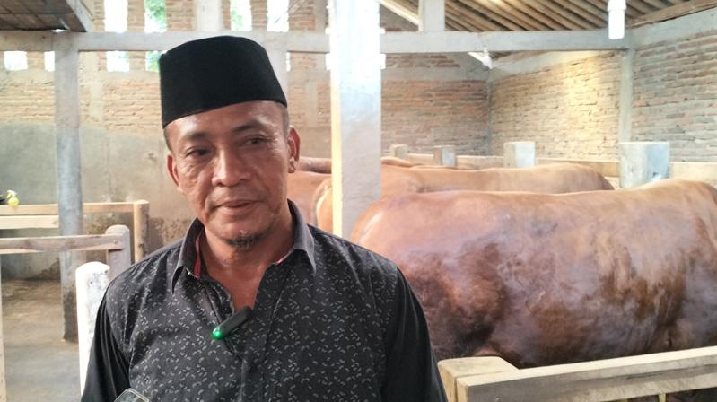 Cerita Peternak Karanganyar yang Sempat Gagal Suplai Sapi Kurban Jokowi karena PMK