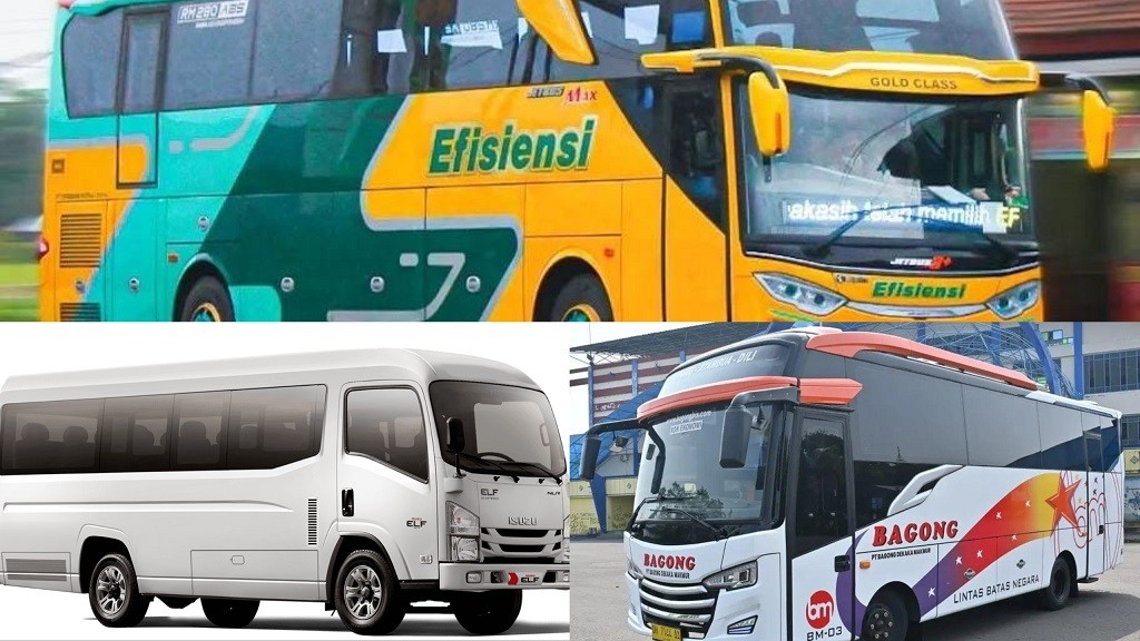 Kenali Jenis-jenis Bus Berdasarkan Ukuran, Jangan Salah Pilih Biar Perjalanan Nyaman