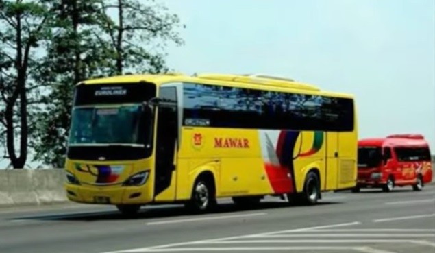 Mengenal PO Mawar, Bus Sapu Jagad Disegani di Masanya