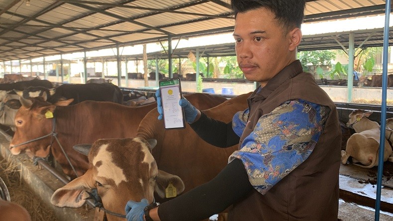 Jangan Salah Pilih, Hewan Kurban Sehat di Bekasi Ditandai dengan Ear Tag