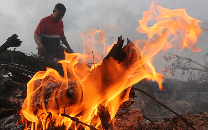Karhutla di Nagan Raya, Petugas Temukan Satwa Mati Terpanggang