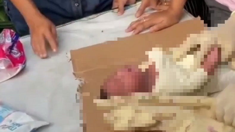 Geger Bayi Perempuan Baru Lahir Ditemukan dalam Kardus di Pinang Tangerang