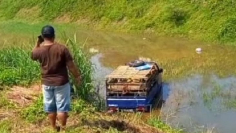 Sopir Ngantuk, Mobil Pembawa Kambing Tercebur ke Parit di Bogor