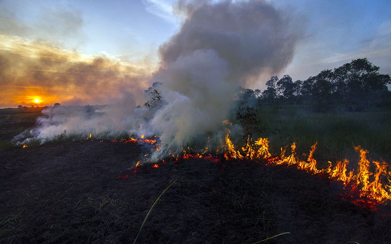 Karhutla Marak, BNPB: 99 Persen Disebabkan Faktor Manusia