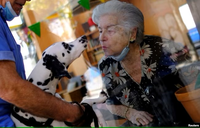 Hewan Peliharaan Mampu Bantu Jaga Kesehatan Lansia