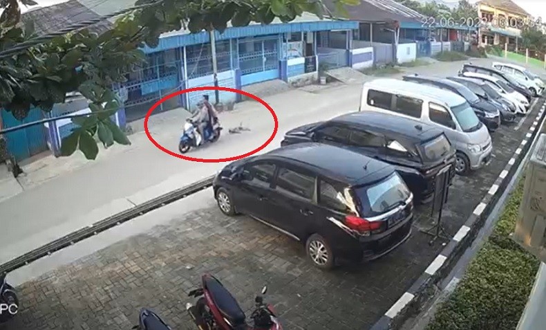 Video Viral Pengendara Motor Seret Anjing di Singkawang, Pemilik Lapor Polisi