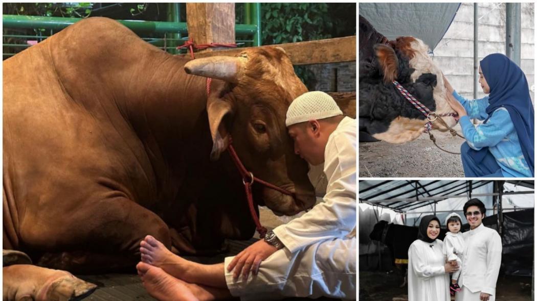 Ini 5 Artis Kurban Sapi Terbesar dan Termahal, Ada Siapa Saja? 
