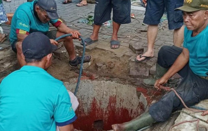 Heboh, Sapi Kurban di Malang Ngamuk dan Jatuh ke Lubang Pembuangan Limbah 