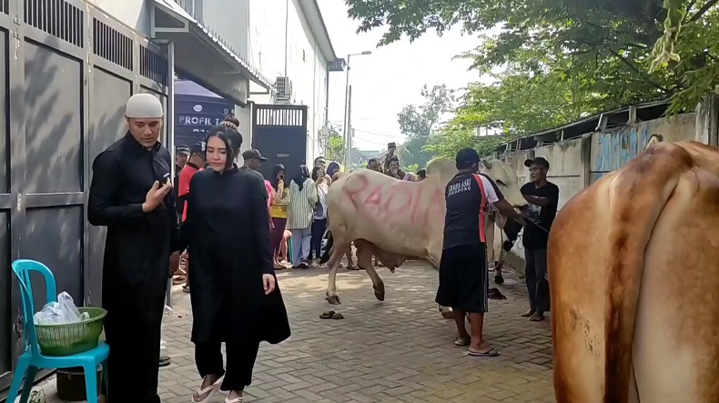 Idul Adha, Pedangdut Via Vallen Kurban 7 Sapi dan 12 Kambing di Jatim