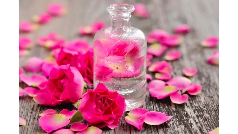 Cara Membuat Air Mawar di Rumah, Ternyata Mudah dan Praktis
