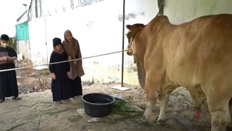 Susunan Panitia Qurban Idul Adha yang Bisa Jadi Acuan Organisasi