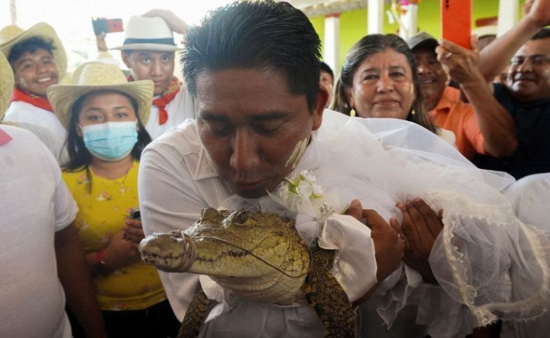 Unik, Wali Kota di Meksiko Nikahi Buaya Betina demi Keberuntungan 