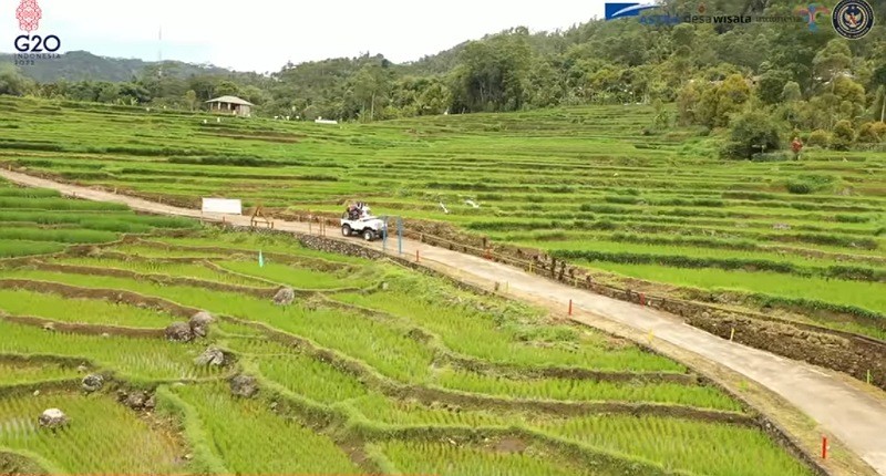 Kampung Unik di Sulawesi Selatan, Hanya di Desa Ini Bisa Ditemukan Beras Merah untuk Kesehatan