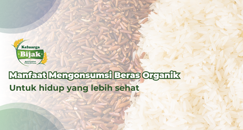 Manfaat Mengonsumsi Beras Organik Guna Hidup Lebih Sehat!