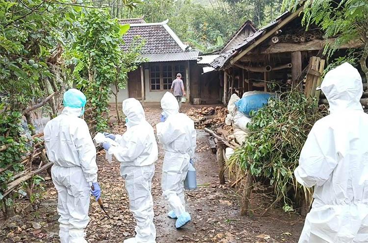 87 Warga Gunungkidul Positif Antraks, Sempat Sembelih dan Konsumsi Daging Sapi Mati