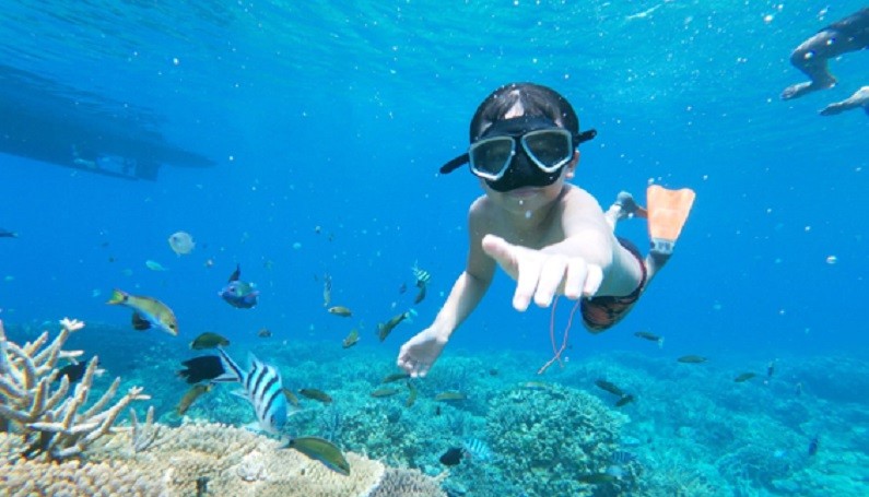 Intip Keindahan Surga Tersembunyi di Jawa Tengah, Kehidupan Bawah Lautnya Menakjubkan    