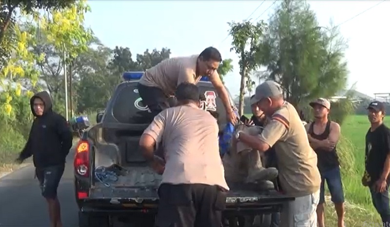 Kecelakaan Hari Ini di Jombang, 2 Pengendara Motor Tewas Tertabrak Truk