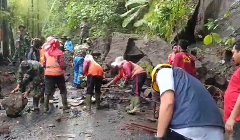 Hujan Deras di Bali, Bencana Alam Pohon Tumbang dan Tanah Longsor Landa Gianyar