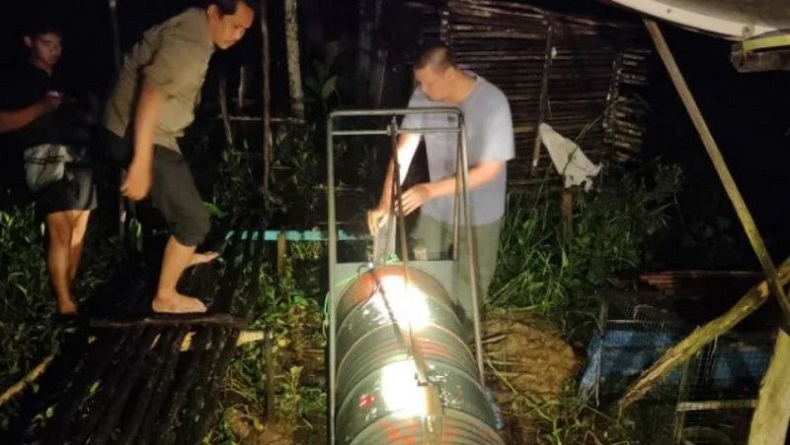Beruang Madu Berkeliaran di Permukiman Warga Tapin Ditangkap