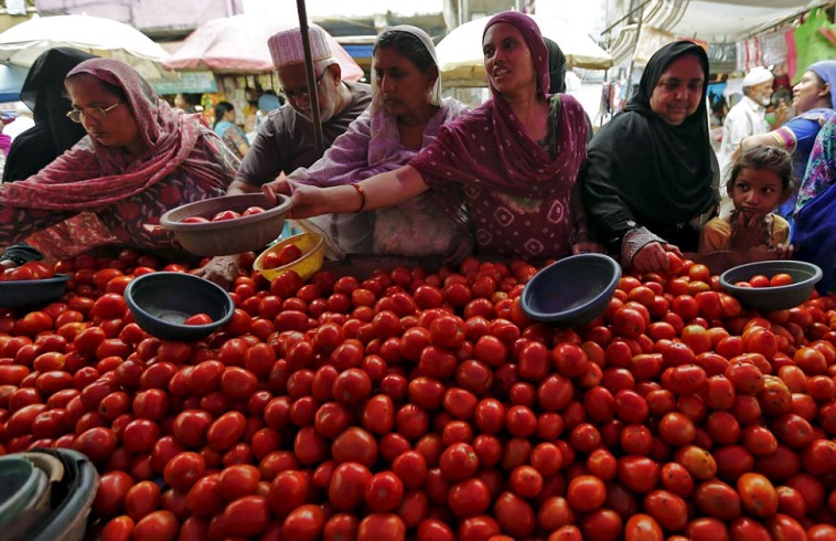 Meroket 445 Persen, Harga Tomat di India Lebih Mahal dari Bensin