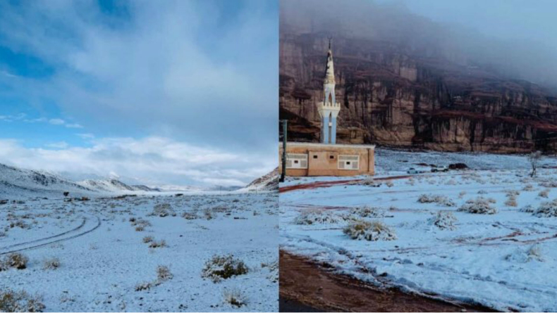 3 Fenomena Alam Tak Biasa yang Terjadi di Arab Saudi, Mulai dari Gurun Tandus yang Jadi Hijau hingga Bersalju