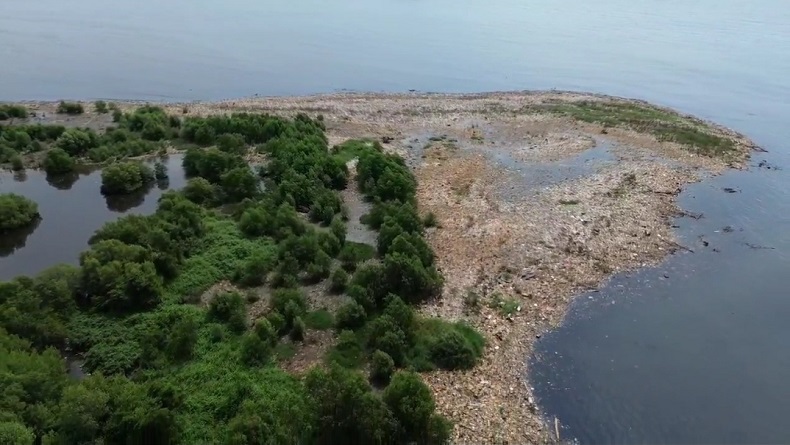Memprihatinkan, Sampah Penuhi Kawasan Mangrove Muara Angke hingga Mirip Daratan