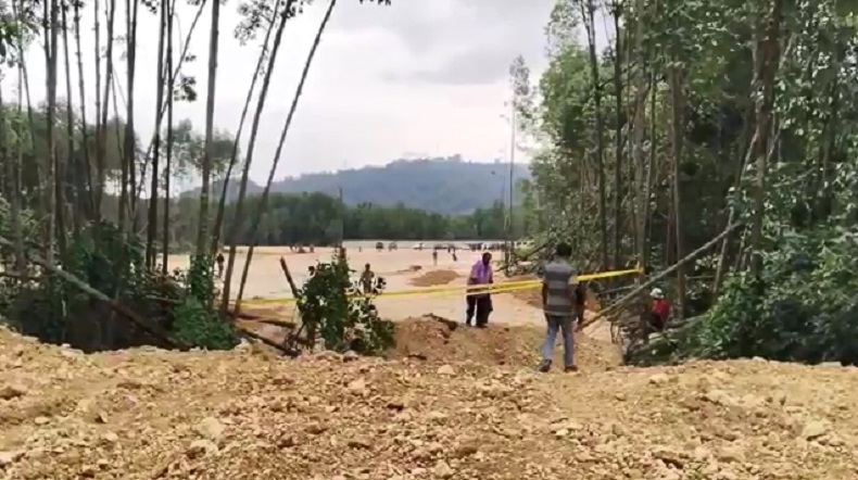 Pemprov Papua Bubarkan Aktivitas Pengurukan Hutan Mangrove di Jayapura, Alat Berat Disita