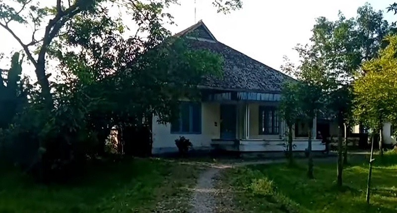 Kampung Unik di Jember, Singgah ke Permukiman yang Punya Pemandangan Desa Zaman Belanda